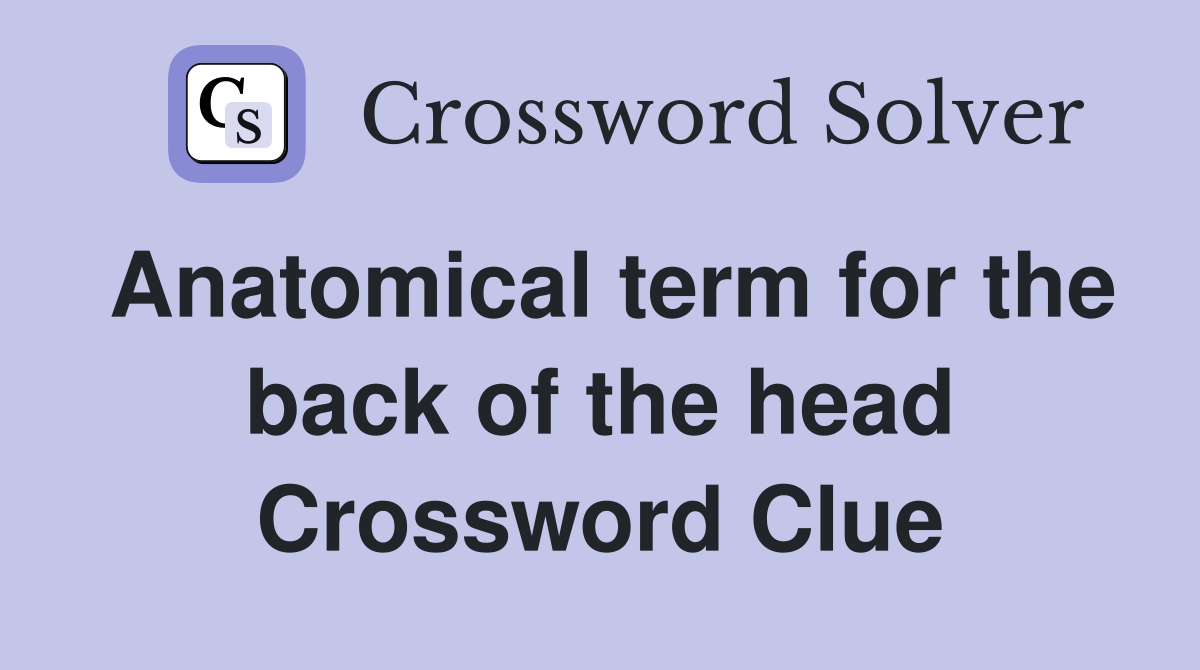 Anatomical term for the back of the head Crossword Clue Answers